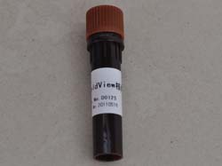 X-gal溶液(20mg/ml)